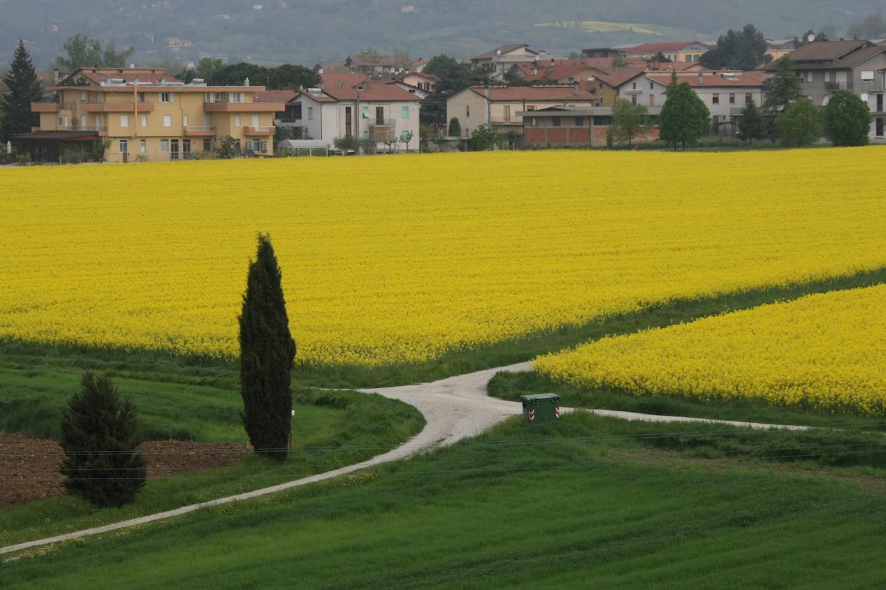 Palazzo Santinelli Bed & Breakfast SantʼAngelo in Vado Екстериор снимка
